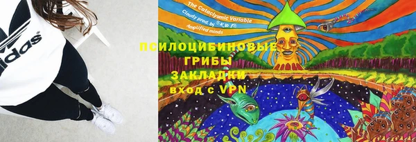 скорость mdpv Белокуриха