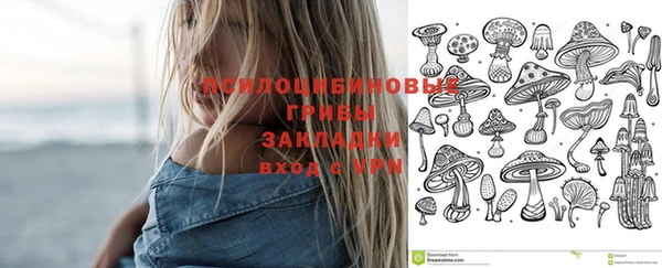 стафф Белоозёрский